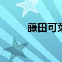 藤田可菜（关于藤田可菜的介绍）