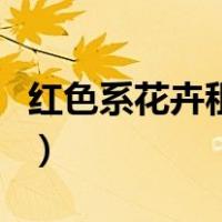 红色系花卉租赁品种齐全（红色系花卉有哪些）