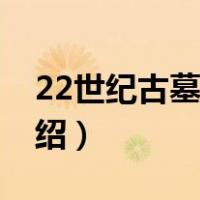 22世纪古墓奇兵（关于22世纪古墓奇兵的介绍）