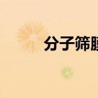 分子筛膜（关于分子筛膜的介绍）