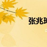 张兆珅（关于张兆珅的介绍）