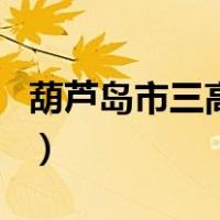 葫芦岛市三高中（关于葫芦岛市三高中的介绍）