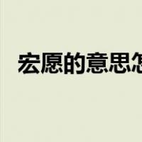 宏愿的意思怎么解释（宏愿的意思是什么）