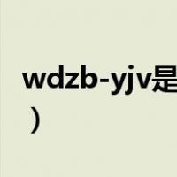 wdzb-yjv是什么电缆（wdzn yjv是什么电缆）