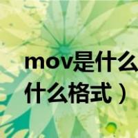 mov是什么格式用什么播放器播放（mov是什么格式）