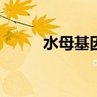 水母基因（关于水母基因的介绍）