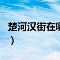 楚河汉街在哪里（关于楚河汉街在哪里的介绍）