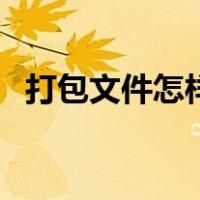 打包文件怎样发邮箱（打包文件怎么打包）