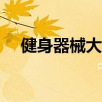 健身器械大全拳击沙袋（健身器械大全）