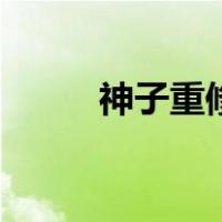 神子重修（关于神子重修的介绍）