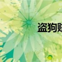 盗狗贼（关于盗狗贼的介绍）