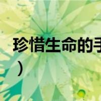 珍惜生命的手抄报内容简单（珍惜生命的故事）