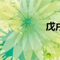 戊戌（关于戊戌的介绍）