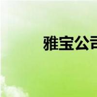 雅宝公司（关于雅宝公司的介绍）