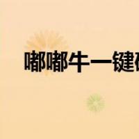 嘟嘟牛一键破解（嘟嘟牛破解教程2018）
