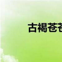 古褐苍苍（关于古褐苍苍的介绍）