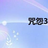 咒怨3日版解说（咒怨3日版）