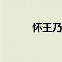 怀王乃悉发国中兵翻译（怀王）