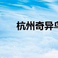 杭州奇异鸟（关于杭州奇异鸟的介绍）