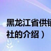 黑龙江省供销合作社（关于黑龙江省供销合作社的介绍）