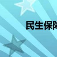 民生保障物资有哪些（民生保障）