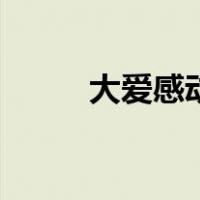 大爱感动（关于大爱感动的介绍）