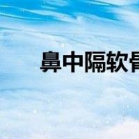 鼻中隔软骨（关于鼻中隔软骨的介绍）