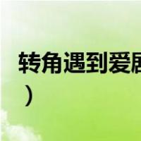 转角遇到爱剧情（关于转角遇到爱剧情的介绍）