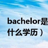 bachelor是什么意思中文翻译（bachelor是什么学历）