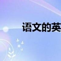 语文的英文单词发音（语文的英文）