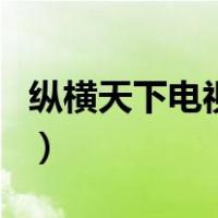 纵横天下电视剧（关于纵横天下电视剧的介绍）