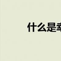 什么是幸福的婚姻（什么是幸福）
