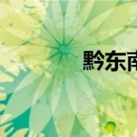 黔东南疫情最新通报（黔东）
