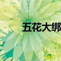 五花大绑女因犯（怎样五花绑女犯）
