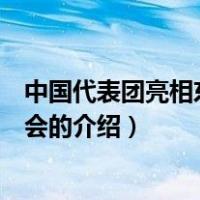 中国代表团亮相东京奥运会（关于中国代表团亮相东京奥运会的介绍）