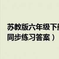 苏教版六年级下册数学同步练习题（苏教版六年级下册数学同步练习答案）