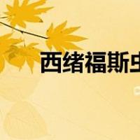 西绪福斯虫蜣螂怎么读（西绪福斯虫）