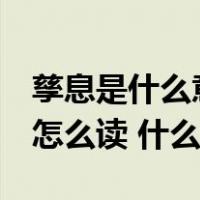 孳息是什么意思怎么读（ldquo 孳息 lsquo 怎么读 什么意思）