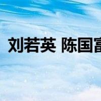 刘若英 陈国富（关于刘若英 陈国富的介绍）