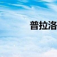 普拉洛芬滴眼液的作用（普拉）