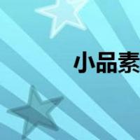 小品素材去哪下载（小品素材）