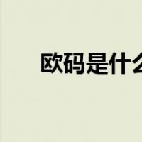 欧码是什么意思啊（欧码是什么意思）