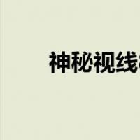 神秘视线8（关于神秘视线8的介绍）