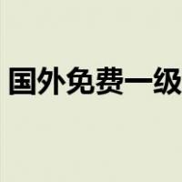 国外免费一级域名注册（国外免费一级网站）