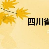 四川省委决定任命公示（scs）