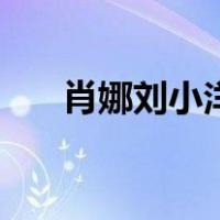 肖娜刘小洋（关于肖娜刘小洋的介绍）