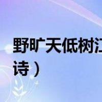 野旷天低树江清月近人的全诗（野旷天低树全诗）