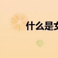什么是女夹子（什么是女权主义）