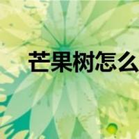 芒果树怎么修剪来年才挂果多（芒果树）