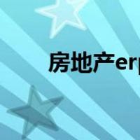 房地产erp（关于房地产erp的介绍）